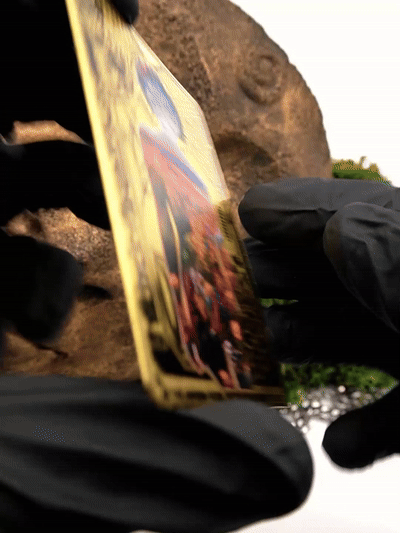 Collector card image 3