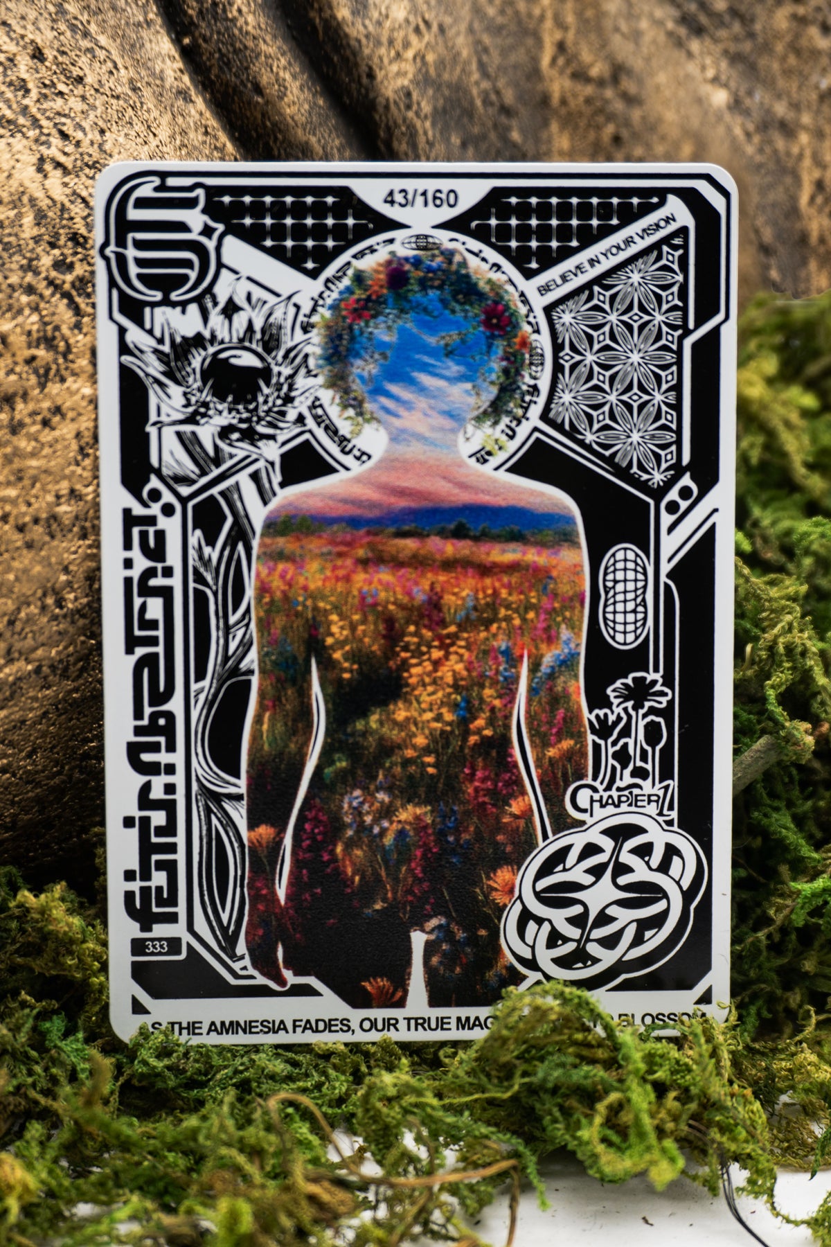 Collector card image 3