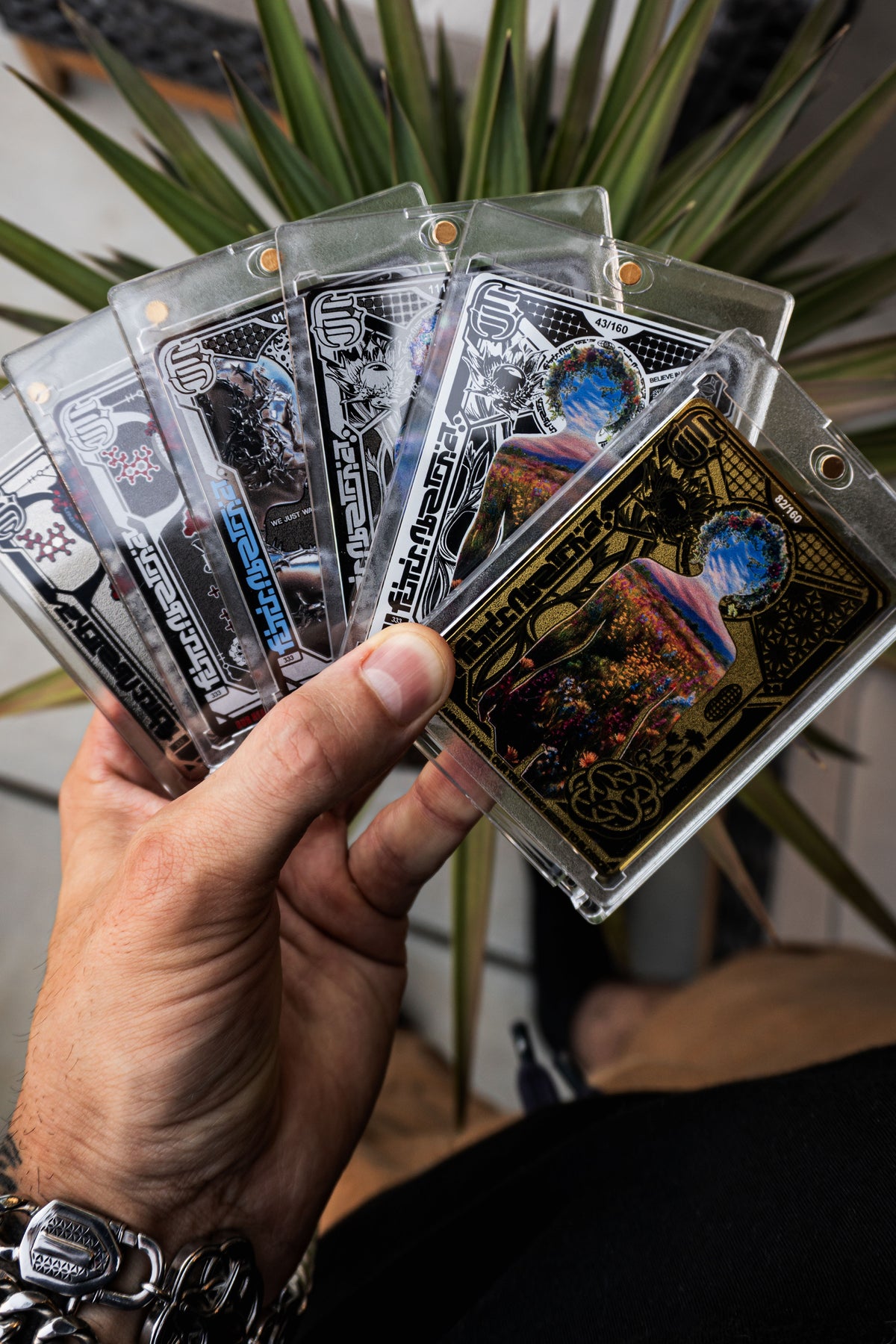 Collector card image 5