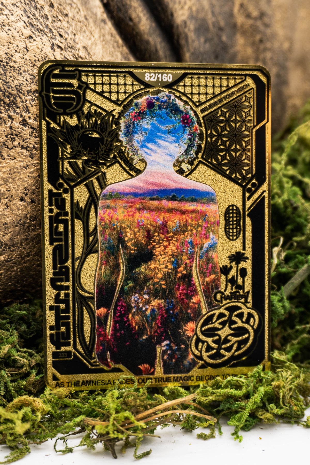 Collector card image 1